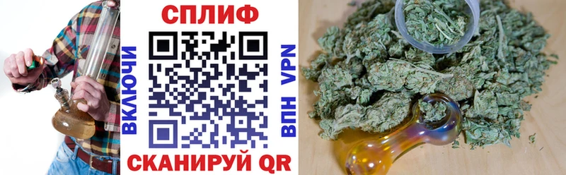 Где купить Юхнов Псилоцибиновые грибы  МЕГА   Марихуана  Меф 