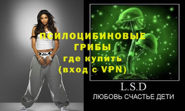 гашик Шарыпово