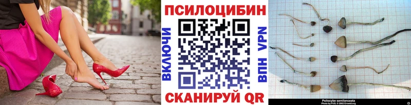 Галлюциногенные грибы MAGIC MUSHROOMS  blacksprut зеркало  Юхнов 